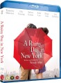 A Rainy Day In New York - 
