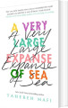 A Very Large Expanse Of Sea