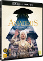 Amadeus