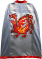 Kappe Til Børn - Amber Dragon-Ridderserien - Liontouch