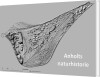 Anholts Naturhistorie