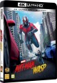 Ant Man And The Wasp - Marvel - 