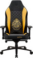 Apollon Collector Hp Hogwarts Black Seat Gold