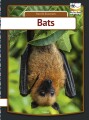 Bats - 