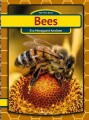 Bees - 