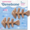 Benebone - Tyggelegetøj Til Hvalp - Fishbone - Laks - 12 Cm - 2 Stk