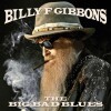 Billy F Gibbons - Big Bad Blues - 