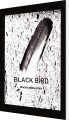 Black Bird - 