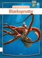 Blæksprutte