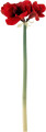 Bloomingville - Amaryllis Kunstige Blomster - Rød