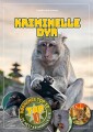 Børnenes Top 10 - Kriminelle Dyr
