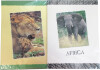 Brevpapir Africa 10 Ark 5 Konv - Rheita