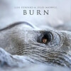 Lisa Jules Maxwell Gerrard - Burn