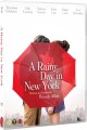 A Rainy Day In New York - 