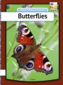 Butterflies - 