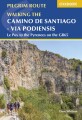 Pilgrim Route - Walking The Camino De Santiago - Via Podiensis