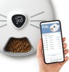 Catit - Pixi Smart Foderautomat Til Katte - Med App - 6 Måltider