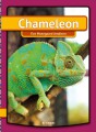 Chameleon - 