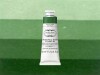 Charbonnel - Etching Ink - Tryksværte - Sap Green 60 Ml