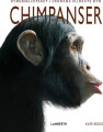 Chimpanser - 