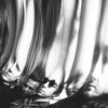 Ty Segall - Chrome