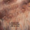 Agnes Obel - Citizen Of Glass - 