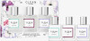 Clean Xmas Classic Layering Edp 3X30Ml