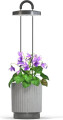 Click And Grow - Hydrovase - Grå