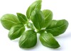 Click And Grow - Smart Garden Refill 3-Pack - Basil Sgr3X3