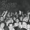 Liam Gallagher - C Mon You Know Limited