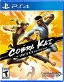 Cobra Kai Karate Kid Saga Continues Import - 