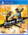 Cobra Kai The Karate Kid Saga Continues - 