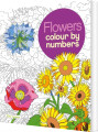 Colour By Numbers Flowers