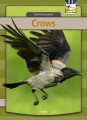 Crows