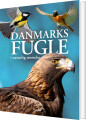 Danmarks Fugle I Naturlig Størrelse