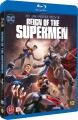 Reign Of The Supermen - Dc Universe Movie - 