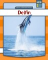 Delfin - 