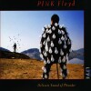 Pink Floyd - Delicate Sound Of Thunder - 