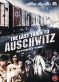Det Sidste Tog Til Auschwitz - 