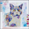 Diamond Painting - 30X30 Cm - Kat - Centrum