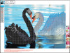 Diamond Painting 30 X 40 Cm - Svaner - Centrum