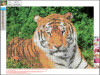 Diamond Painting 30 X 40 Cm - Tiger - Centrum