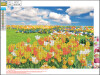 Diamond Painting 30 X 40 Cm - Tulipanmark - Centrum