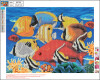 Diamond Painting 40 X 50 Cm - Fisk - Centrum