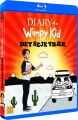 Diary Of A Wimpy Kid 4 The Long Haul - 