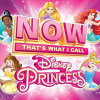 Now That S What I Call Disney Princess