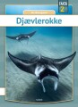 Djævlerokke