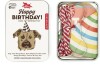 Kikkerland - Hundefødselsdag Kit - Kobe - 4 Dele