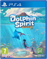 Dolphin Spirit Ocean Mission