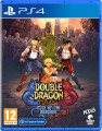 Double Dragon Gaiden Rise Of The Dragons - 